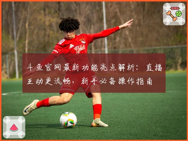 斗鱼官网最新功能亮点解析：直播互动更流畅，新手必备操作指南