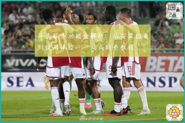 斗鱼服务功能全解析：从安装指南到使用体验，一站式新手教程