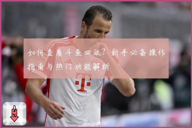 如何查看斗鱼回放？新手必备操作指南与热门功能解析