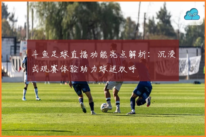 斗鱼足球直播功能亮点解析：沉浸式观赛体验助力球迷欢呼