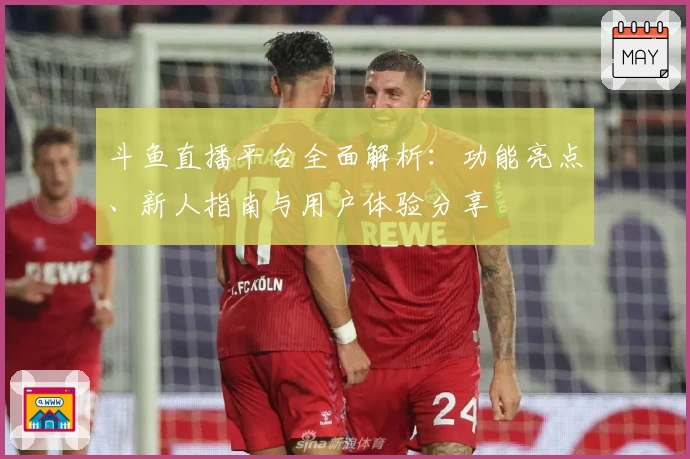 斗鱼直播平台全面解析：功能亮点、新人指南与用户体验分享