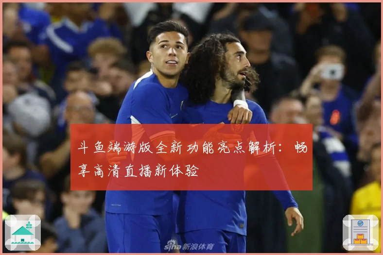斗鱼端游版全新功能亮点解析：畅享高清直播新体验