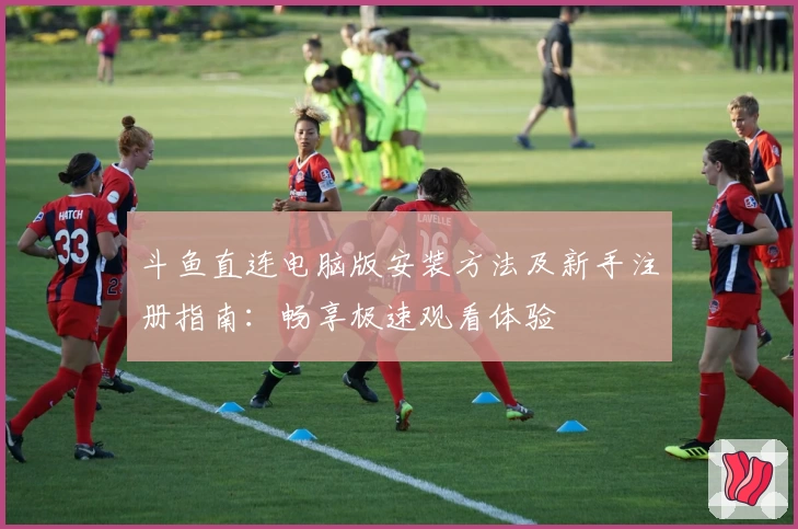 斗鱼直连电脑版安装方法及新手注册指南：畅享极速观看体验