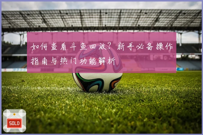 如何查看斗鱼回放？新手必备操作指南与热门功能解析