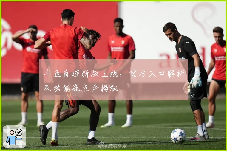 斗鱼直连新版上线，官方入口解析及功能亮点全揭秘