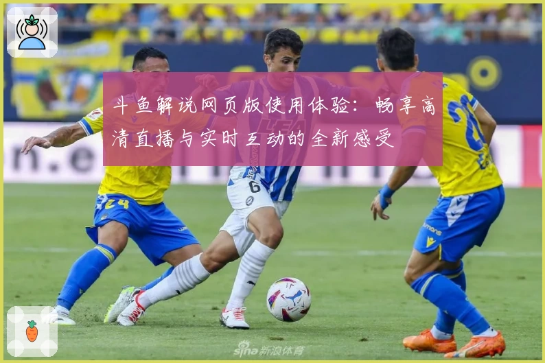 斗鱼解说网页版使用体验：畅享高清直播与实时互动的全新感受