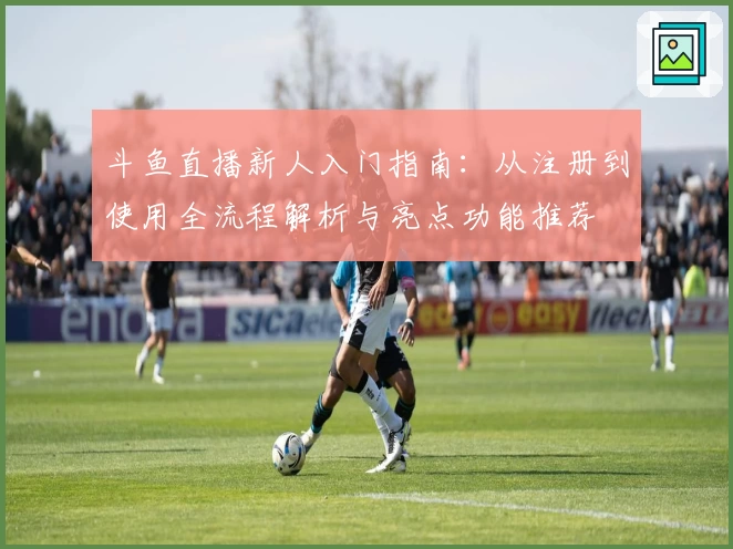 斗鱼直播新人入门指南：从注册到使用全流程解析与亮点功能推荐